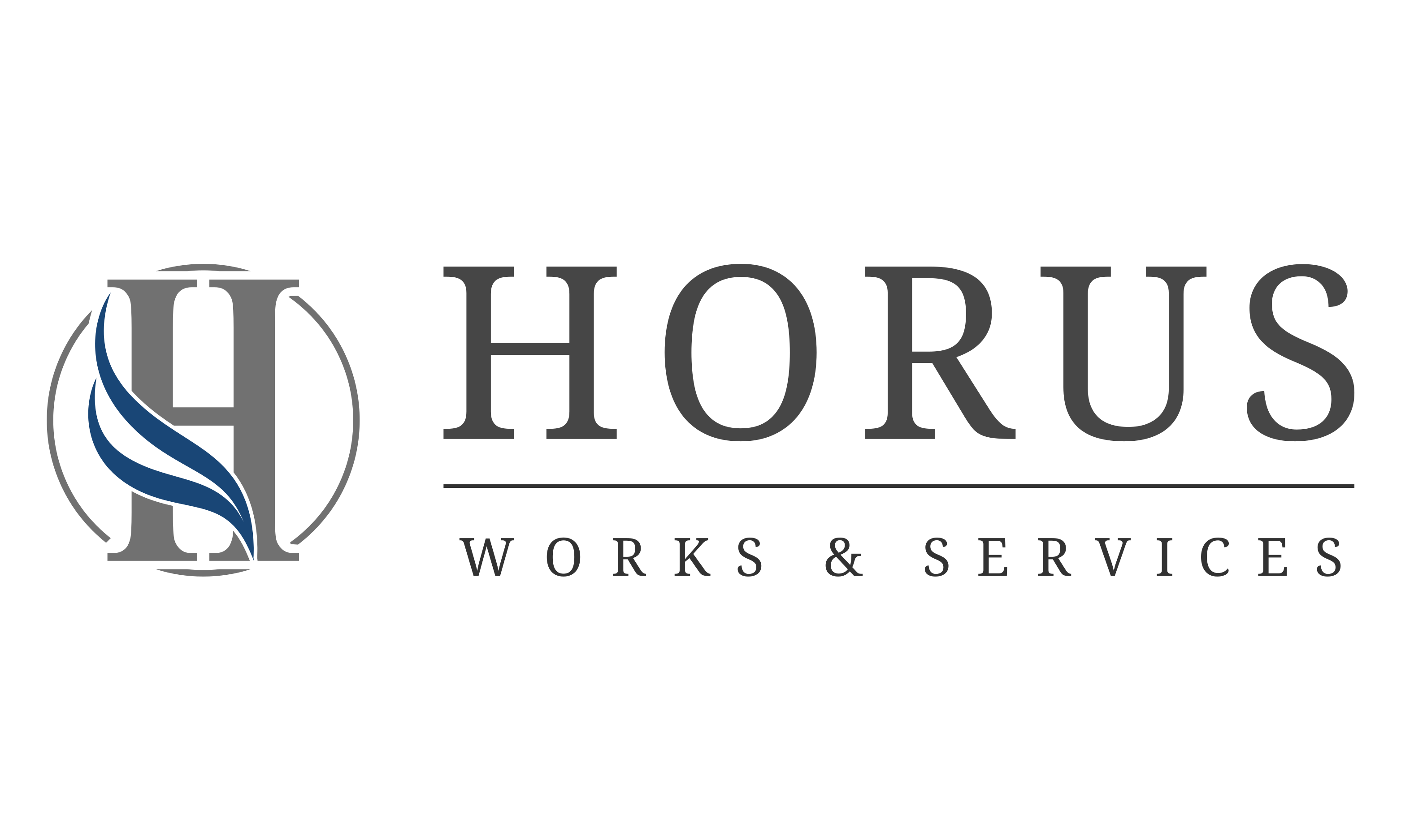 logo Horus gris et bleu transparent background